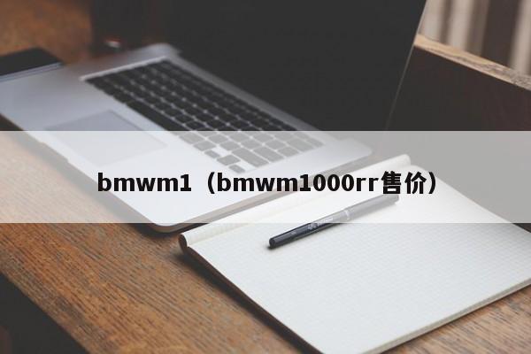 bmwm1（bmwm1000rr售价）