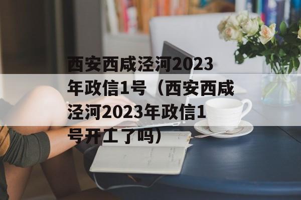 西安西咸泾河2023年政信1号（西安西咸泾河2023年政信1号开工了吗）