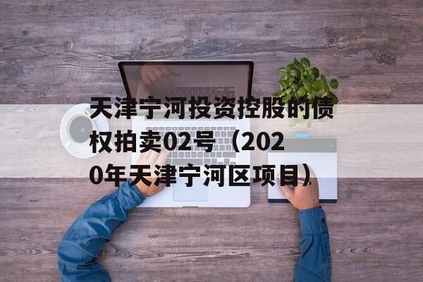 天津宁河投资控股的债权拍卖02号（2020年天津宁河区项目）