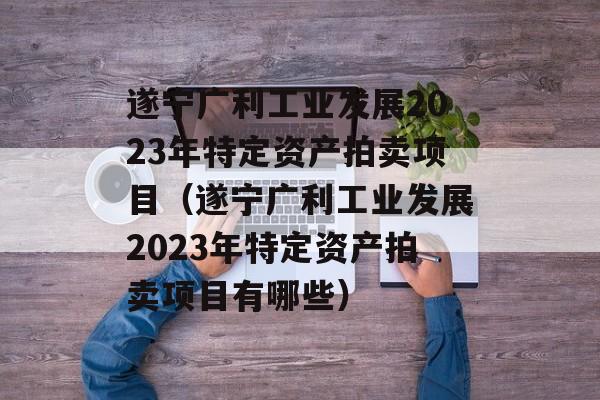 遂宁广利工业发展2023年特定资产拍卖项目（遂宁广利工业发展2023年特定资产拍卖项目有哪些）