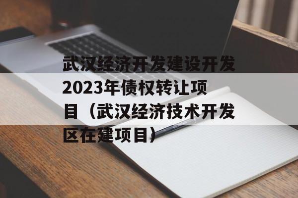 武汉经济开发建设开发2023年债权转让项目（武汉经济技术开发区在建项目）