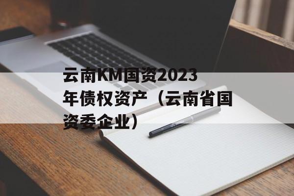云南KM国资2023年债权资产（云南省国资委企业）