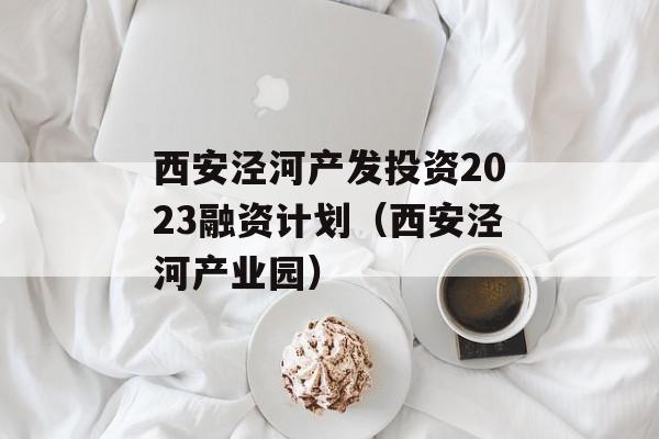 西安泾河产发投资2023融资计划（西安泾河产业园）