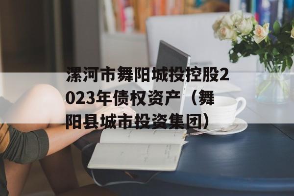 漯河市舞阳城投控股2023年债权资产（舞阳县城市投资集团）