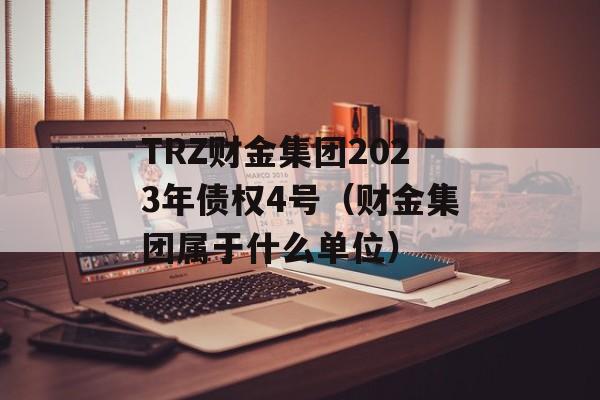 TRZ财金集团2023年债权4号（财金集团属于什么单位）
