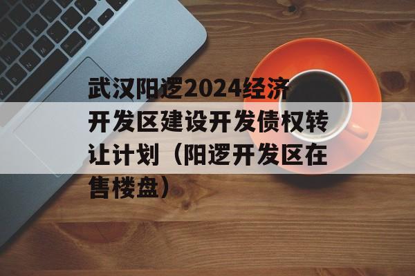 武汉阳逻2024经济开发区建设开发债权转让计划（阳逻开发区在售楼盘）