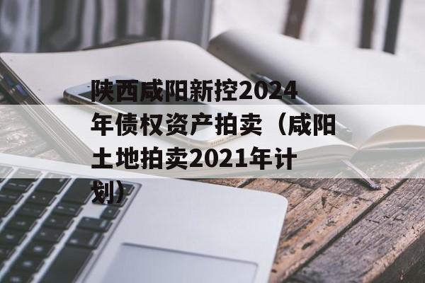 陕西咸阳新控2024年债权资产拍卖（咸阳土地拍卖2021年计划）