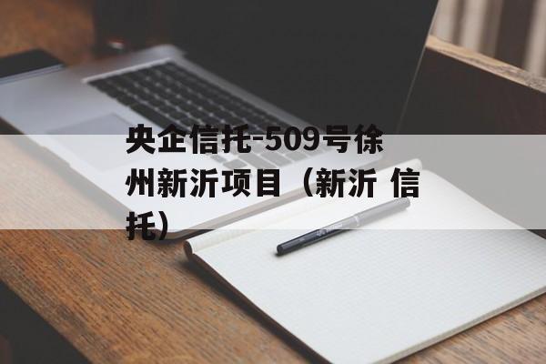央企信托-509号徐州新沂项目（新沂 信托）
